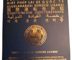 International Drivers License -Translation